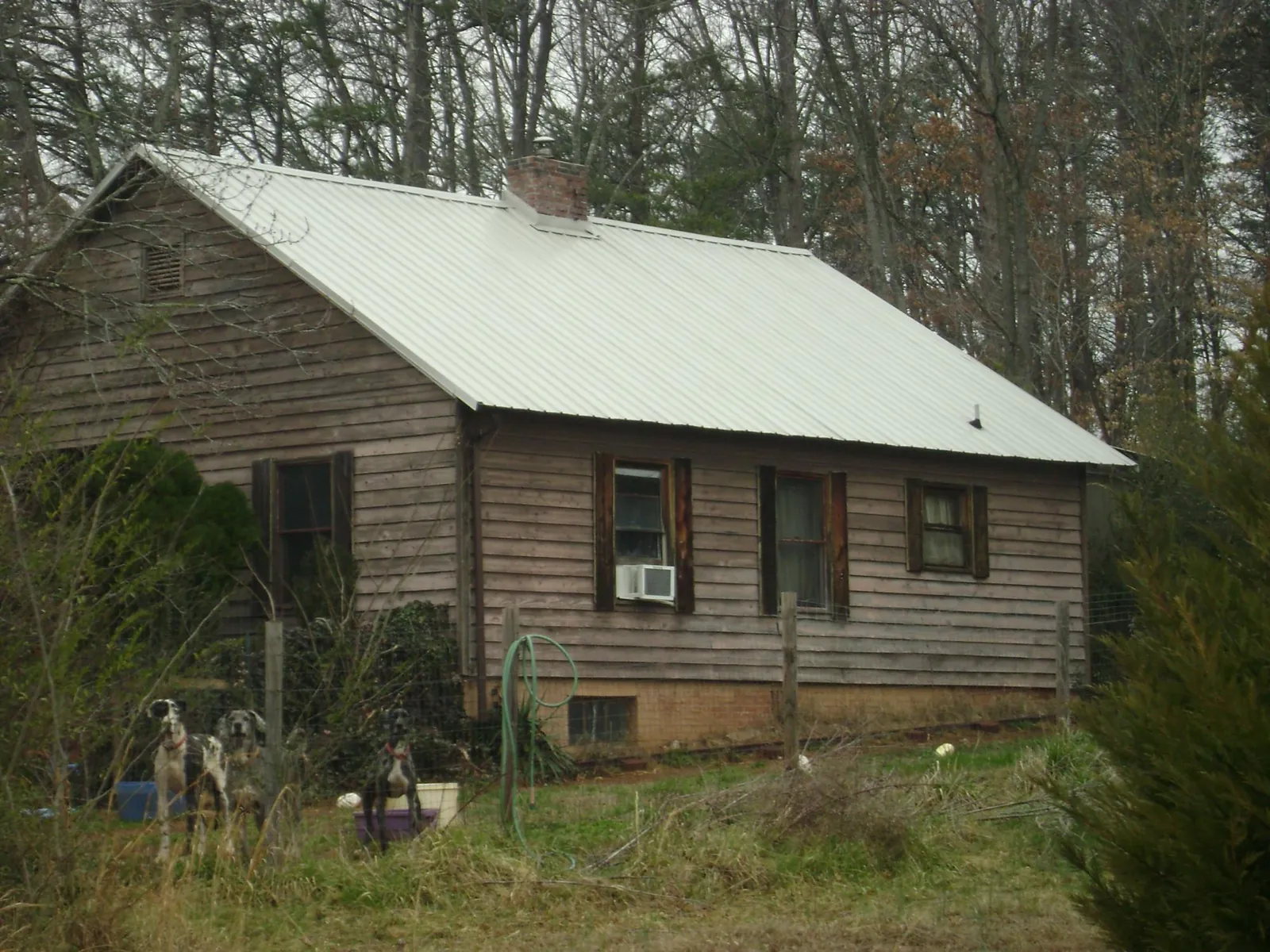 White metal roof on an old wood sided farmhouse, from a Metal Roof Installation job in Pompeys Pillar